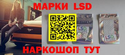стафф Будённовск