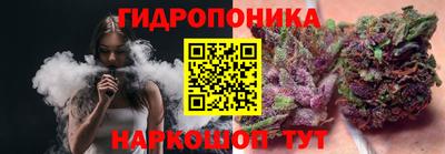 стафф Будённовск