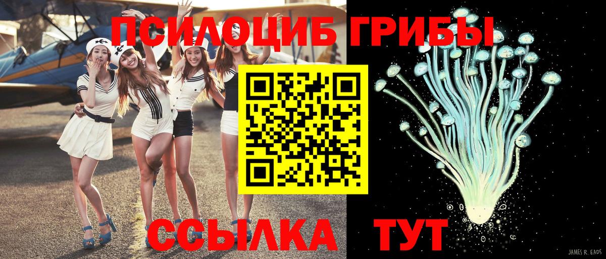Псилоцибиновые грибы MAGIC MUSHROOMS  Псилоцибиновые грибы MAGIC MUSHROOMS  Щёкино  Вход с VPN 