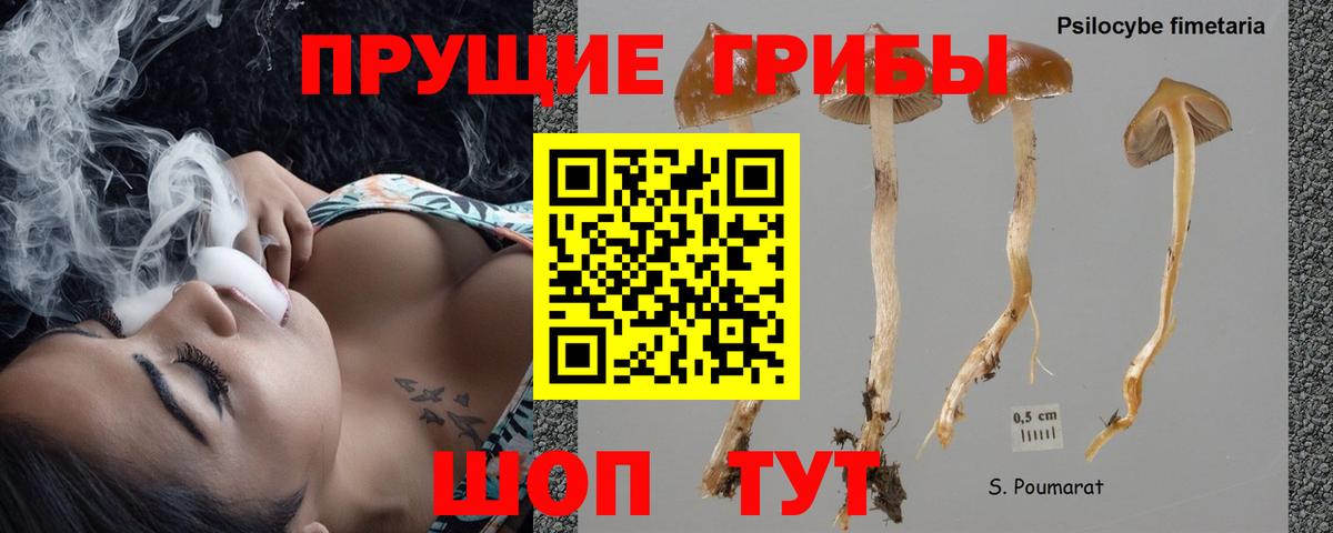 Псилоцибиновые грибы ЛСД Щёкино